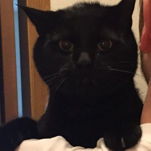 Meet your Posher, Madison